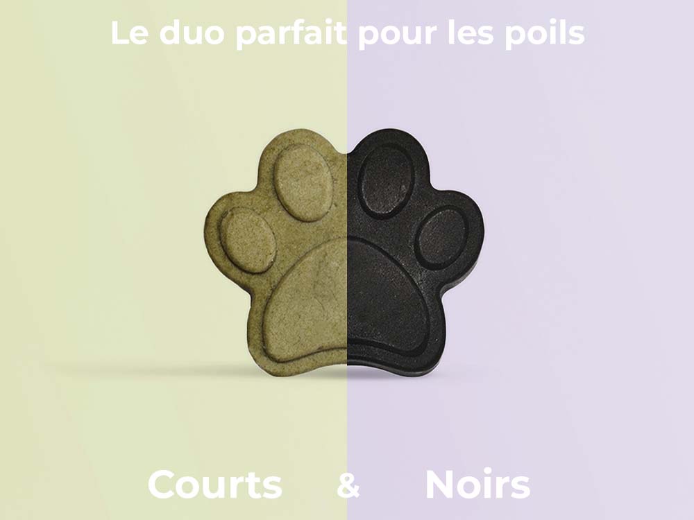 Shampooings poils courts & noirs