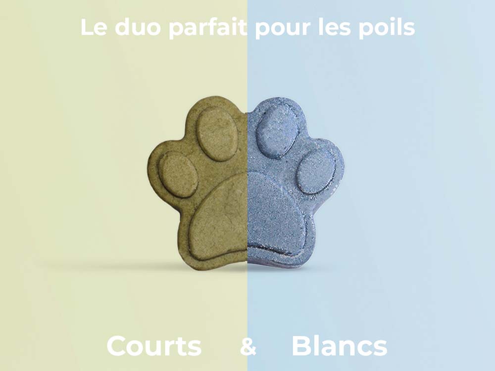 Shampooings poils courts & blancs