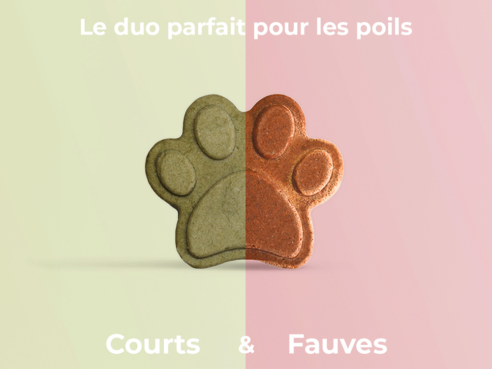 Shampooings poils courts & fauves
